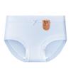 7A Calcinha de Seda de Amora Entrecava de Algodão Puro Roupa Íntima Feminina Verão Fina Menina Respirável Borda de Renda Calcinhas Antibacterianas Temu