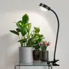 Luz Led de Crecimiento de Plantas con Lente Convexa Solar Espectro Completo Planta Verde Flor Micro-Paisaje Planta Luz Suplementaria