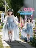 Vestido de menina, vestido de tule, vestido de princesa, vestido infantil Frozen Elsa Lolita, fantasia de apresentação