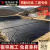Novo material geomembrana de HDPE anti-infiltração para lagoas de lixo, lagoas de biogás, reservatórios de água e fazendas de criação - fabricante de geomembrana