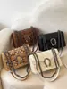 2026 Nueva Moda Estilo Coreano Bolso Cuadrado Pequeño Dionysus, Bolso de Cadena Informal Chic Estampado, Bolso de Hombro Único Cruzado para Mujer
