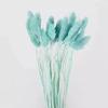 Grama gema de fábrica de Yunnan também é chamada de grama beleza buquê combinado de decoração DIY atacado