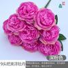Pacote de 9 cabeças de Peônia Estrangeira Nova Rosa Brasileira Pastoral de Casamento Cerimonial Beleza Chen Flor de Seda Coreano Base de Salão de Casamento Flor Falsa