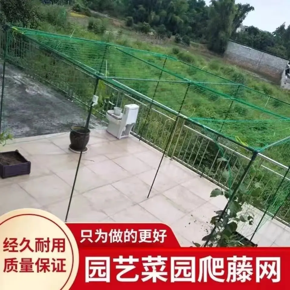 微信图片_20240821101028
