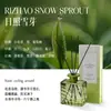 Aromaterapia sem Fogo Série Ondas d'Água Fragrância de Óleo Essencial Fresca Natural Decoração de Rattan Perfume Aromaterapia para uma Atmosfera de Quarto Luxuosa