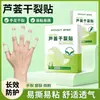 Haishenghaino Parche de Aloe Vera para Grietas Secas en Manos y Pies Parche para el Cuidado de las Manos Parche para Pies Grietas en la Piel Parche para Piel Agrietada Cinta Adhesiva Parche para Dedos y Talones