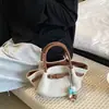 Bolso Cruzado Nuevo Primavera y Verano 2026, Bolso de Mano de Moda, Bolso Tote Pequeño, Bolso de Nicho Súper Popular Estilo Coreano para Mujer