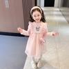 Vestido de Princesa de Estilo Extranjero para Niñas con Forro Polar Otoño e Invierno Bebé Niñas 2024 Nueva Falda de Dibujos Animados Moda Gruesa de Invierno
