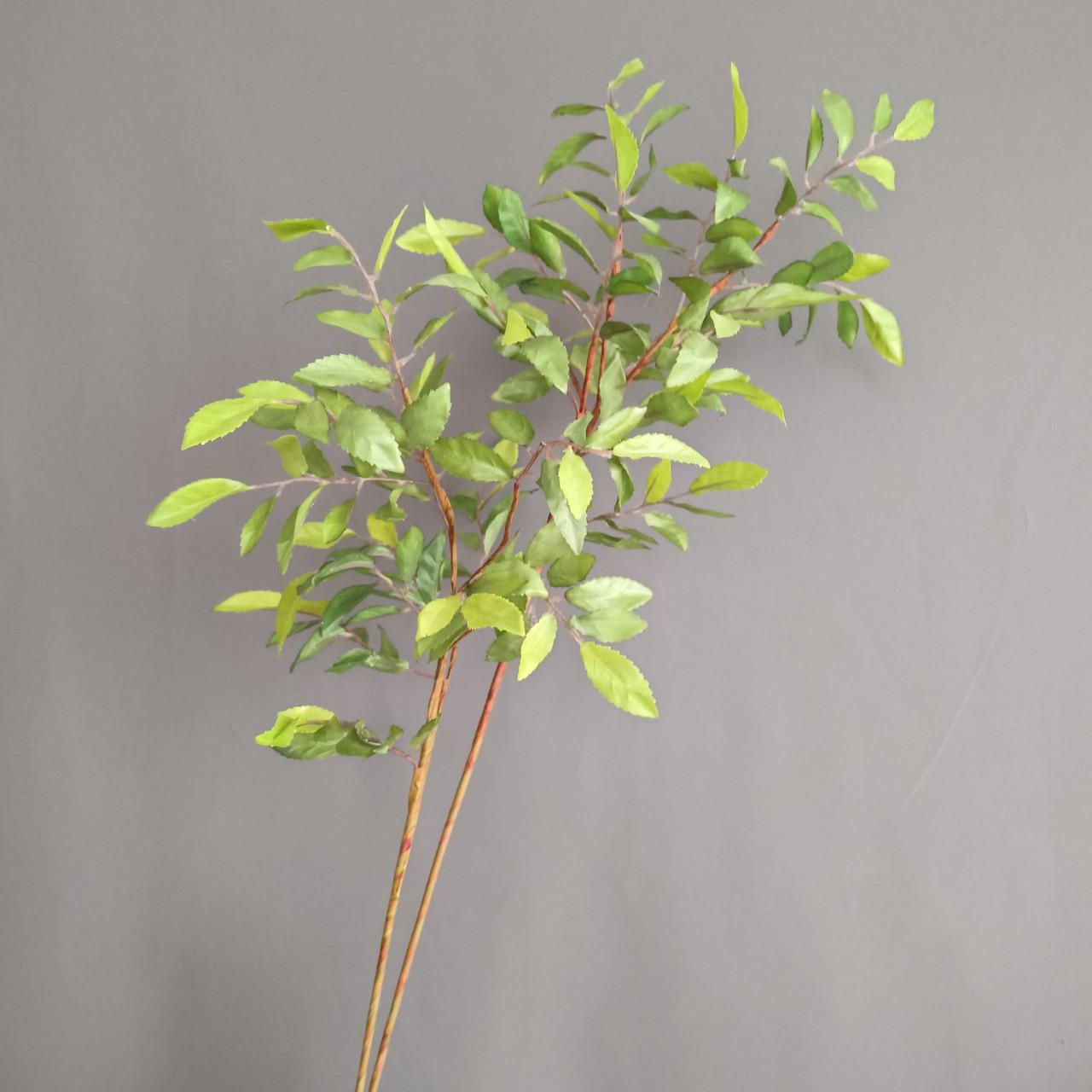 upload