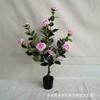 Comércio Exterior Bonsai de Camélia Artificial Plantas de Camélia Artificiais em Vaso Plantas Verdes Artificiais Flores Falsas Roseira Atacado