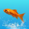 Pez Dorado Pez Vivo Cabeza de León Pez Ornamental Pequeño Gorra Roja Pez de Agua Fría Pez de Agua Dulce Alevín Pez Dorado Pez Koi Vivo
