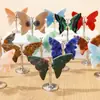 Piedra Bruta Natural de Cristal Transfronteriza Talla de Alas de Mariposa Adornos de Mariposa de Cristal Decoraciones para el Hogar y la Oficina Venta al por Mayor