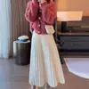 Falda Plisada de Punto Estilo Coreano Gris Oscuro para Mujer, Nuevo Modelo Otoño 2025, Falda Casual de Lana de Longitud Media para Otoño e Invierno