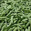 Vainas de Edamame Congeladas Rápidamente, Calidad de Exportación, 75 Vainas de Edamame Verde Esmeralda de Taiwán, Granos de Edamame, Suministro, Procesamiento, Al por Mayor en Stock