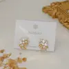 Pendientes de Flor de Fuegos Artificiales Diamante Super Flash Aguja de Plata Estilo Fresco Nicho Coreano Pendientes de Diseño Personalizado de Moda