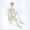 165CM Nueva Calavera Articulada Ajustable Adornos de Terror de Halloween Esqueleto de Cuerpo de Calabaza 40 90cm Esqueleto