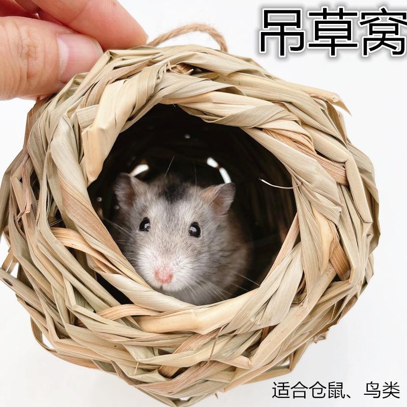 吊草窝 主图_副本.jpg