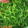 Pepinos encurtidos del noreste, Pepinos frescos y crujientes producidos en Shandong, Pepinos encurtidos apetitosos