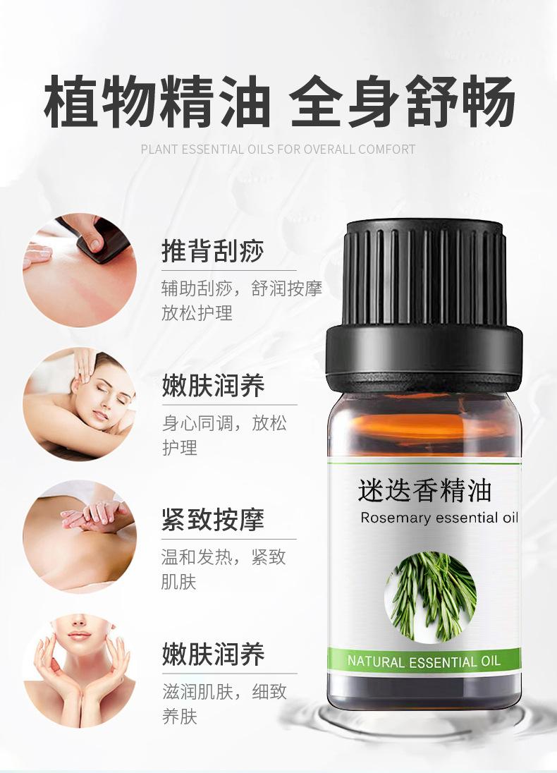 详情页迷迭香_04