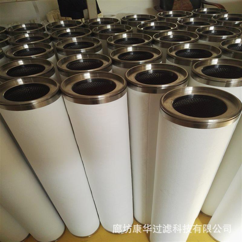 CS604LGH13滤芯.jpg