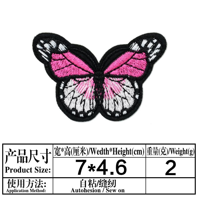 ZN694.jpg