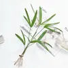 Planta Hidropônica, Planta em Vaso de Bambu Marrom, Bambu da Sorte, Bambu Guanyin de Interior, Folhagem Perene, Tolerante à Sombra e Fácil de Manter, Bambu da Riqueza para Escritório