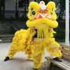 Juego Completo de Accesorios para Danza del León de Adulto, Suministros para Danza del León de Foshan, Cabeza de León del Sur para Danza del León, Juego Completo de Accesorios para Danza del León de Doble Cabeza