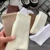 Calcetines Zhuji para mujer de caña larga otoño e invierno ins moda japonesa alto valor en color color sólido calcetines de canalé para niños al por mayor