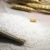 Arroz Rico en Selenio Shizhou Hubei Enshi, Cultivado por Agricultores en las Montañas, Alta Calidad 350g*2 Bolsas