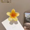 Presilha de Cabelo Flor Plumeria Popular Transfronteiriça, Acessório de Cabelo de Verão Colorido e Estiloso, Enfeite de Cabelo Versátil Tipo Pinça Tubarão Venda por Atacado