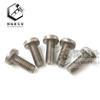 Tornillo de cabeza plana de titanio puro Gr1Gr2 tornillo de titanio para bicicleta de montaña M3-M6 cabeza redonda tornillo de titanio químico galvanizado