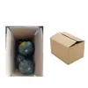 Abóbora Bebê Sabor Castanha Shouguang Abóbora Bebê Castanha 2,5kg Abóbora Velha Legumes Frescos Huihe