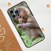 Capa de celular adequada para iPhone 15, limpa, fofa, macaquinho, natureza