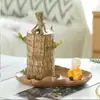 Una generación de floración afortunada con capullos Maceta de madera Mubatan de Brasil Planta viva en maceta Groot planta hidropónica para sala de estar