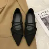 Sapatos femininos estilo francês, bico fino plano, estampa de leopardo, novos modelos primavera e outono 2025, adequados para combinar com saias, sapatos Mary Jane de festa