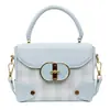 Bolso Cuadrado Pequeño para Mujer 2025 Nuevo Modelo Bolso de Hombro de Moda de Gama Alta Bolso de Mano de Diseño de Nicho Bolso Cruzado de Moda