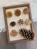 Paquete de materiales DIY hecho a mano flores mixtas plantas flores secas estilo bosque de jardín de infantes creación de anillos decoración piñas de Navidad