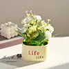 Nuevo Bonsái de Crisantemo Silvestre Pequeño Pastoral Flor Artificial Creativa Adornos de Decoración para el Hogar Estudio Fotográfico Planta Verde Artificial Planta en Maceta Artificial