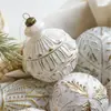Nuevo Colgante de Bola de Navidad de Plástico Color Platino Adorno Retro Mate de Lujo Ligero Copo de Nieve Decoración de Árbol de Navidad