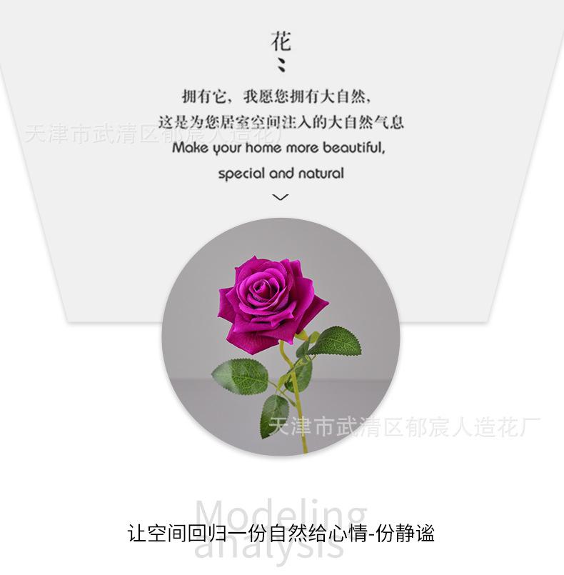 详情_05.png