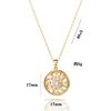 Colar Feminino Moda Transfronteiriça Flor Pingente de Zircônia Nicho Simples Novo Versátil Temperamento Aço Titânio Colar Joia