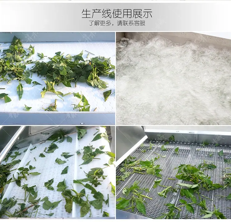果蔬挑选气泡清洗风干生产线(旧)(750px)_02.jpg