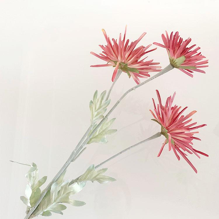 IMG_8031(20220721-111423)