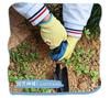 Guantes de protección para niños, aptos para acampar, pescar en el mar, practicar deportes al aire libre, recoger, tirar de la cuerda y jardinería, antideslizantes, resistentes al desgaste y a las puñaladas, de látex.
