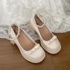 Sapatos de Couro Pequenos de Salto Alto Grosso Retrô Estilo Britânico Preto para Mulheres 2025 Novo Estilo de Verão Sapatos Mary Jane Franceses com Saias
