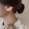 Outono e inverno vintage Maillard Tiger Eye Stone Ear Buckle Fashion Light Luxury High-end Sense Brincos 2024 Novos brincos quentes para mulheres