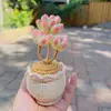 Plantas Pequeñas Suculentas Tejidas a Crochet de Lana Hechas a Mano, Lindos Adornos de Escritorio Simulados de Suculentas Que Nunca Se Marchitarán