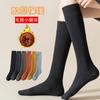 Nuevos calcetines gruesos cálidos de rizo para muslo de otoño e invierno calcetines de rodilla coreanos estilo académico color liso toalla largos altos