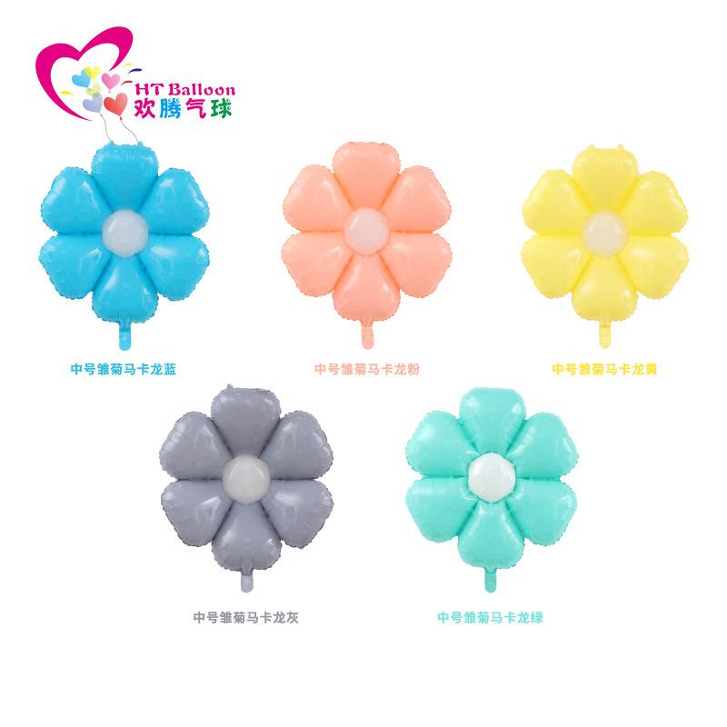 中号雏菊马卡龙合图ht