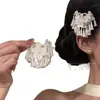 Novo prendedor de cabelo de franja de prata estilo chinês, prendedor lateral de cheongsam retrô estilo chinês, prendedor bico de pato Hanfu, acessório de cabelo, prendedor de cabelo